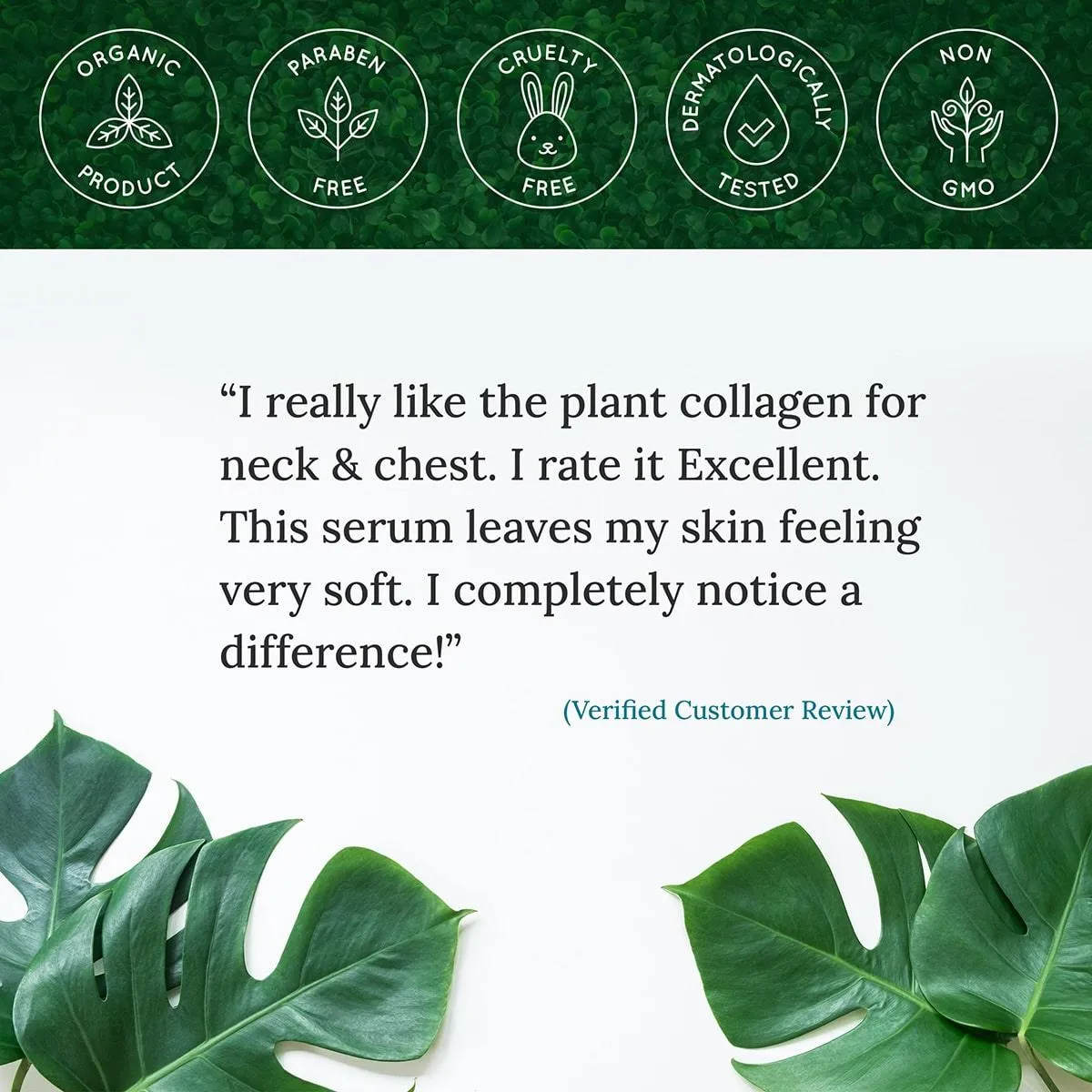 Plant Collagen Night Serum - Image 5